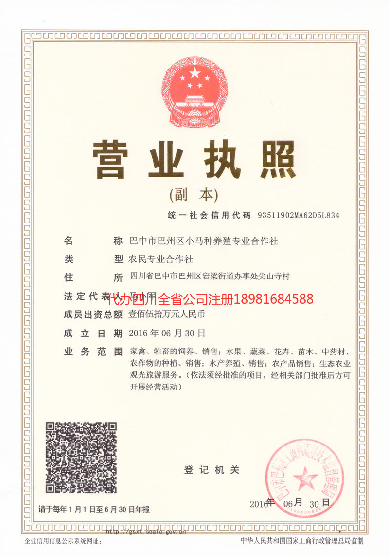 大英大英小马种养殖专业合作社